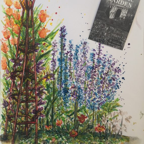 Watercolour and ink of flowers in Oxford Botanic Gardens England